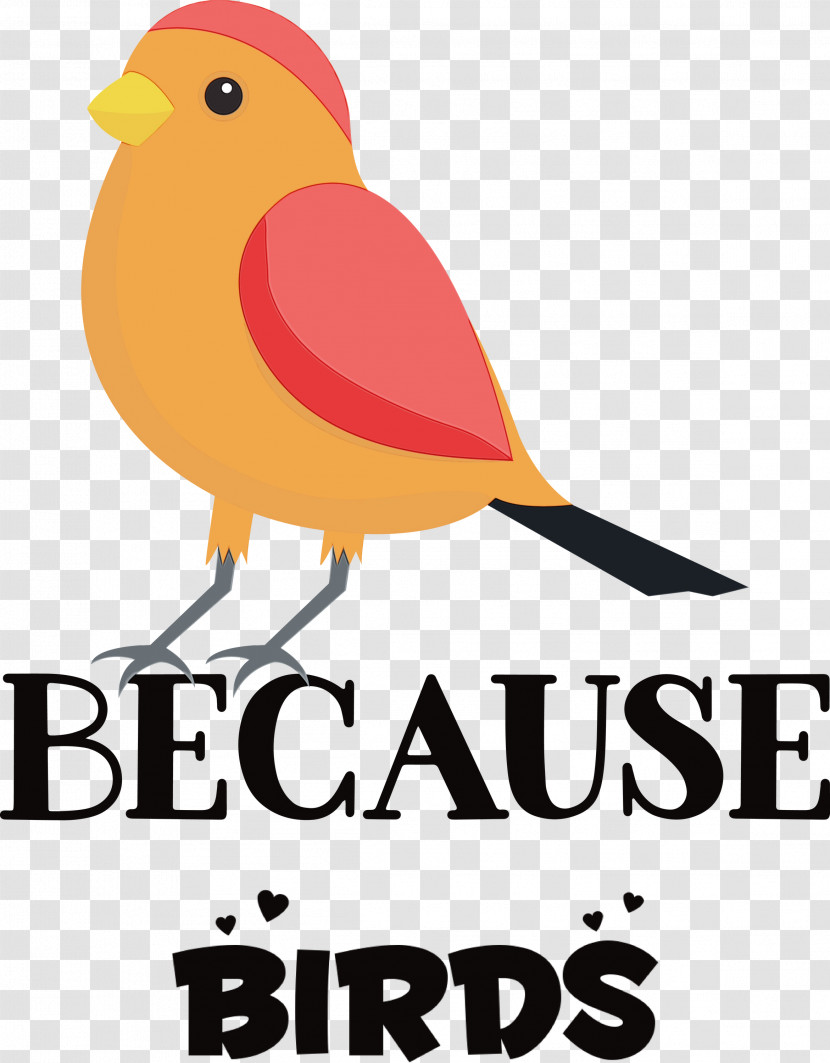 Birds Logo Meter Beak Transparent PNG