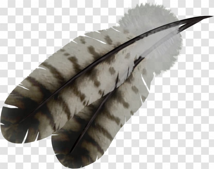 Feather Bird - Image File Formats Transparent PNG