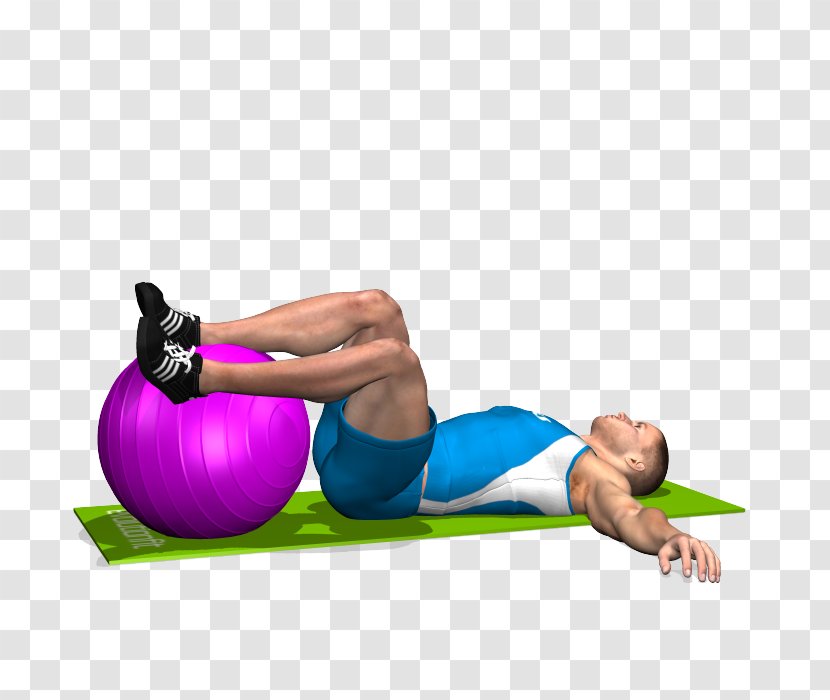 Exercise Balls Physical Fitness Abdominal Abdomen - Frame - Cartoon Transparent PNG