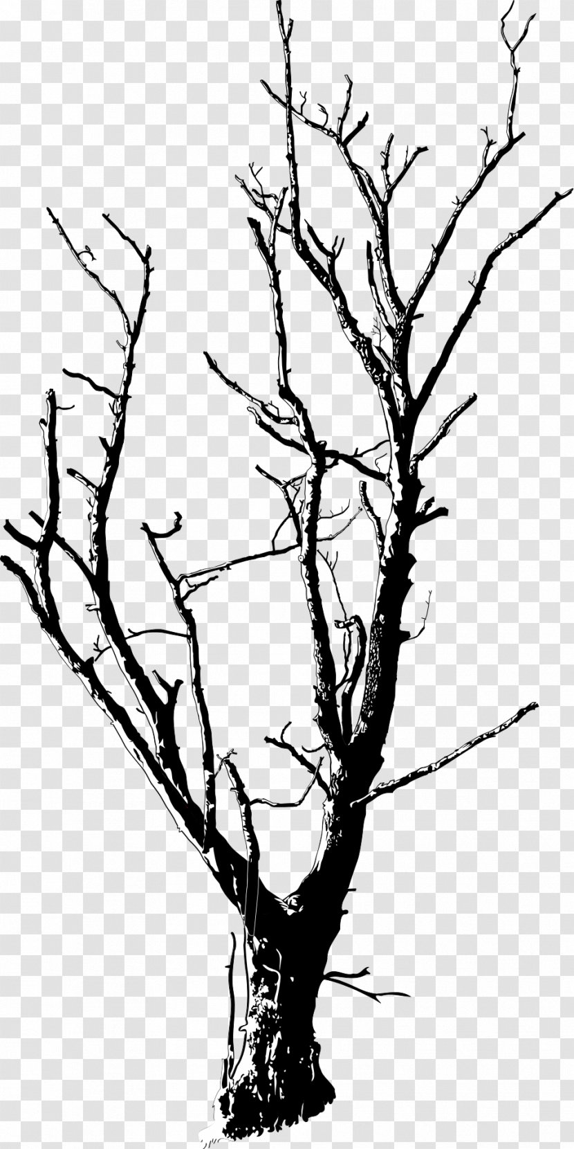 Tree Branch Clip Art - Twigs Transparent PNG