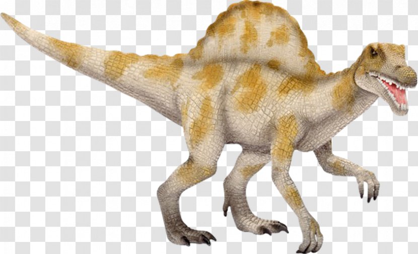 Spinosaurus Tyrannosaurus Acrocanthosaurus Velociraptor Oviraptor - Dinosaur Transparent PNG