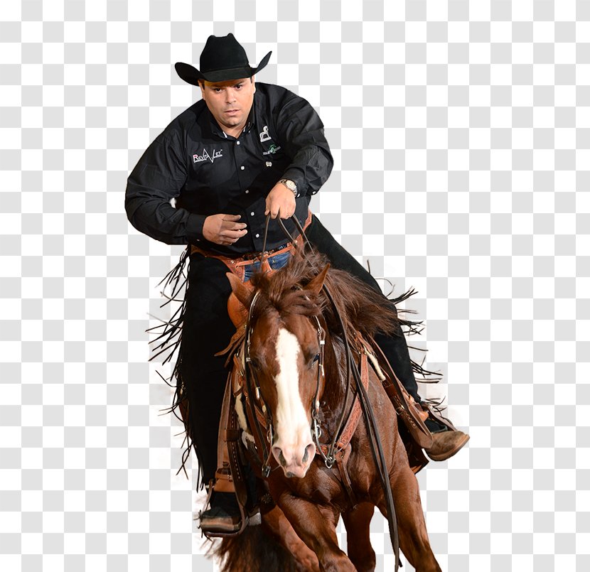 Stallion Reining Horse Hunt Seat - Headgear Transparent PNG