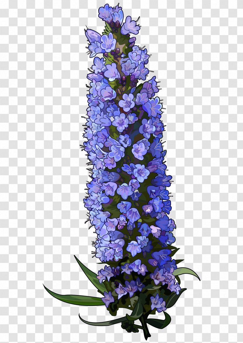 Tajinaste Blue Teide Valsequillo De Gran Canaria Tenteniguada - White - Lupin Transparent PNG