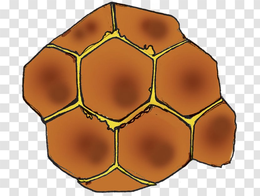 Symmetry Line Ball Pattern Transparent PNG