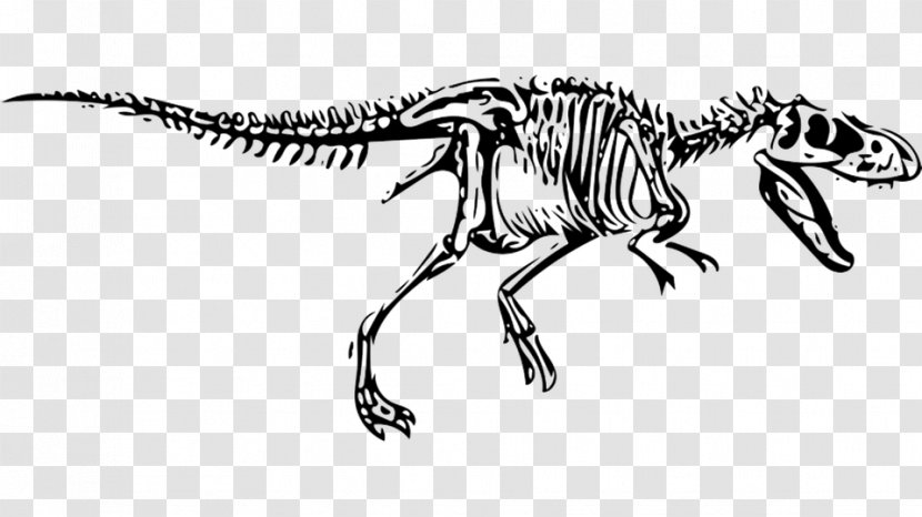Tyrannosaurus Velociraptor Dinosaur Allosaurus Transparent PNG