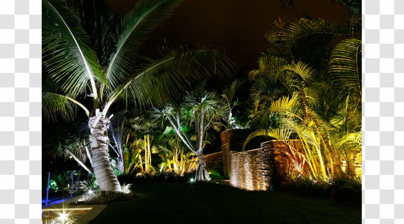Landscape Lighting Light-emitting Diode - Rainforest - Water-sprinkling Festival Transparent PNG