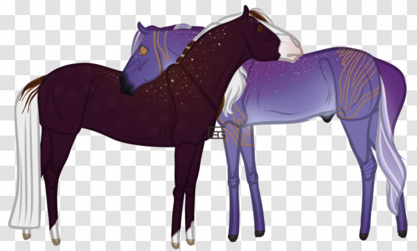 Mustang Foal Stallion Colt Mare - Yonni Meyer Transparent PNG