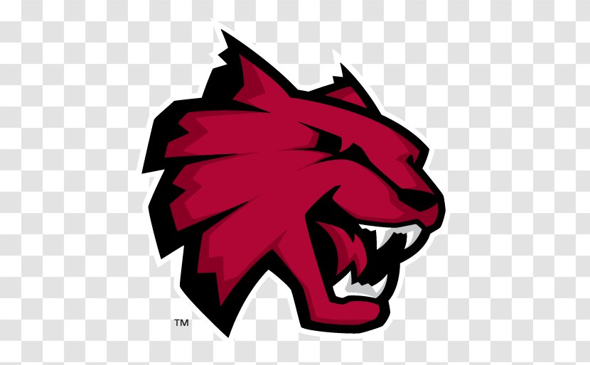 Central Washington University Montana State Billings Highline College Wildcats Football - Tree - Student Transparent PNG