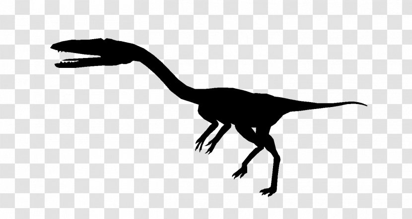 Velociraptor Silhouette Black White Transparent PNG