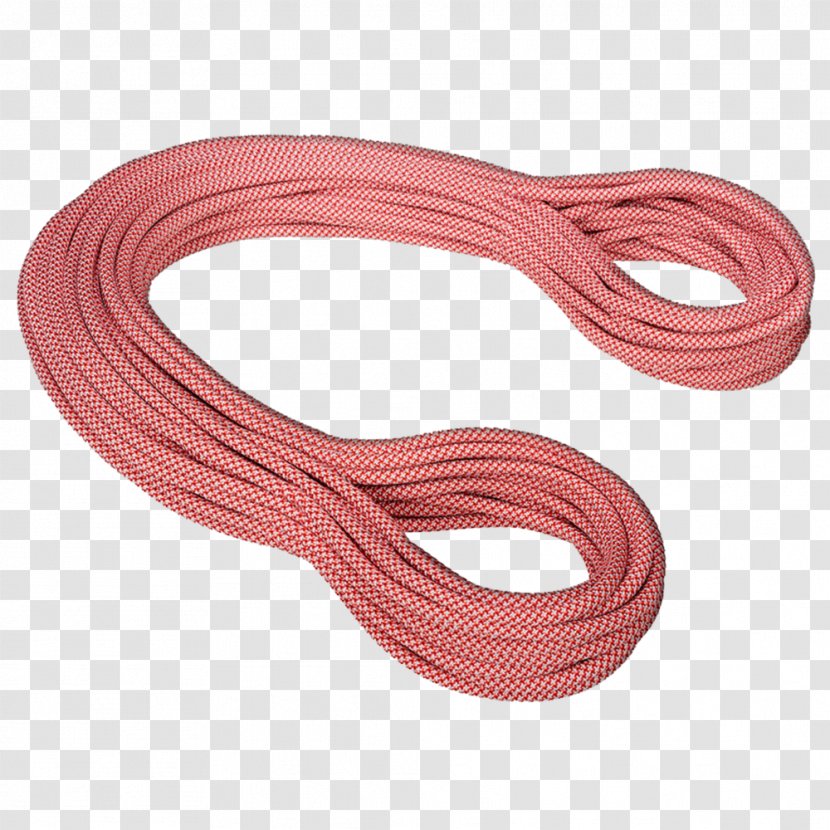Dynamic Rope Traditional Climbing Mammut Sports Group - Wall Transparent PNG