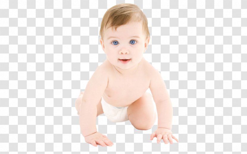 Diaper Infant Crawling Child Boy - Tree Transparent PNG