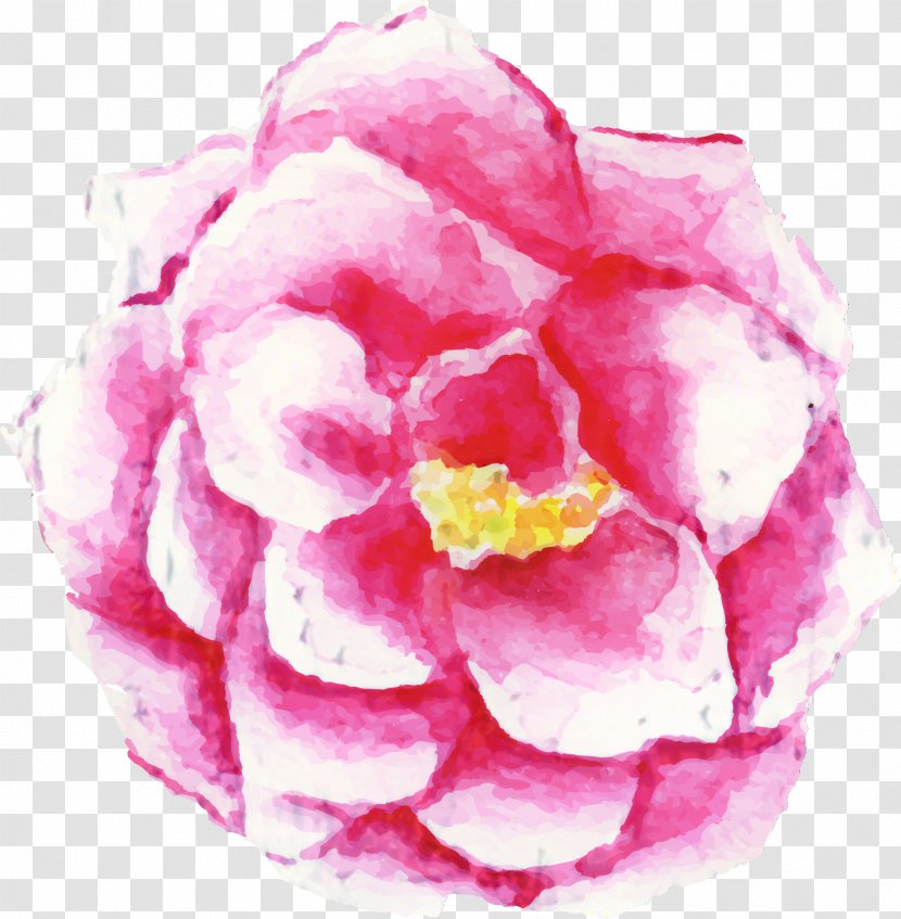 Watercolor Painting Rose Flower Drawing Japan - Pink Transparent PNG
