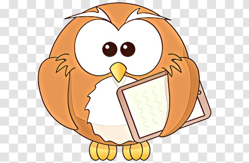 Orange - Owl Bird Transparent PNG