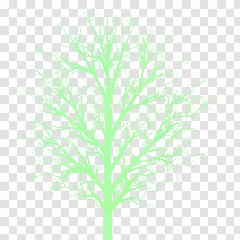 Tree Branch Woody Plant Stem Transparent PNG