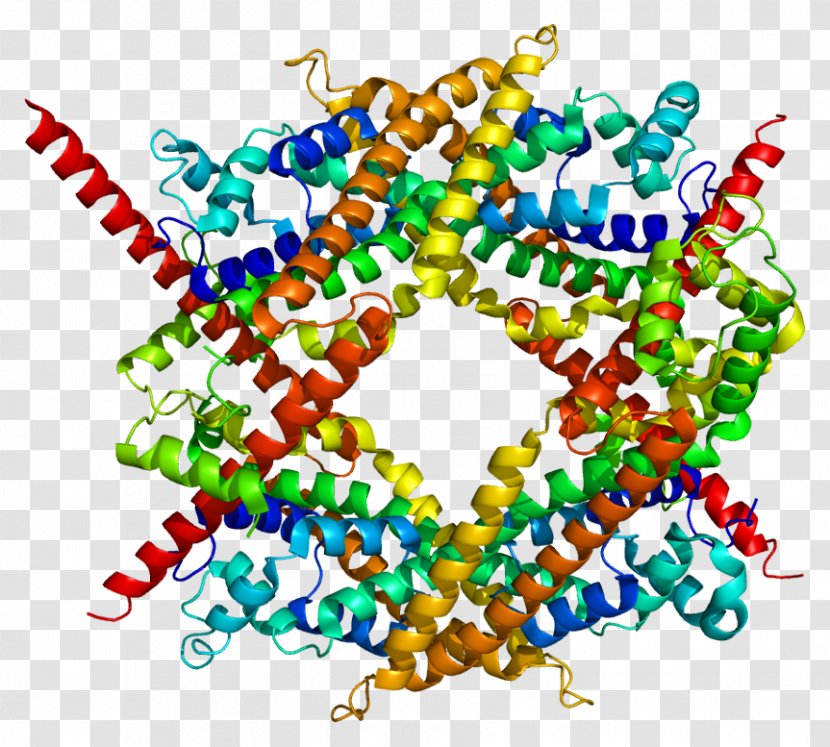 DIAPH1 Protein MDia1 Structure Gene - Watercolor - Tree Transparent PNG