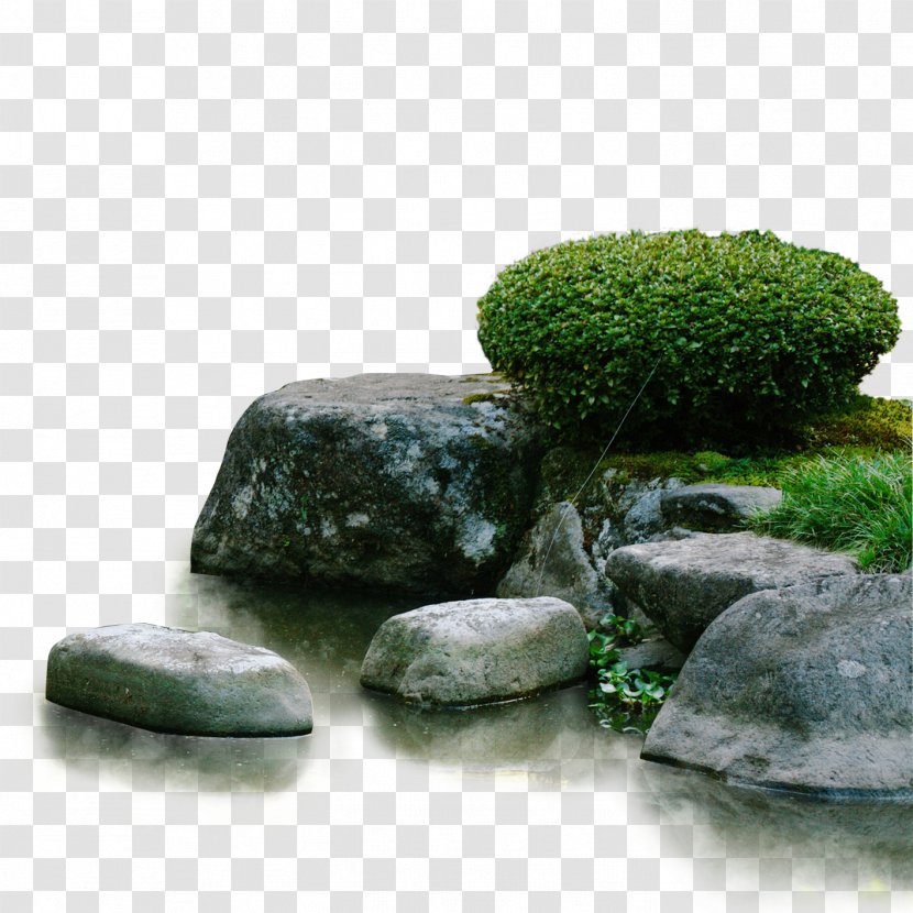 Gongbi Chinese Painting - Grass - Stone Grove Transparent PNG