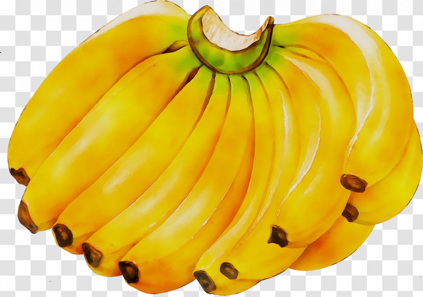 Cavendish Banana Image Clip Art - Vegetable - Musa Acuminata Transparent PNG