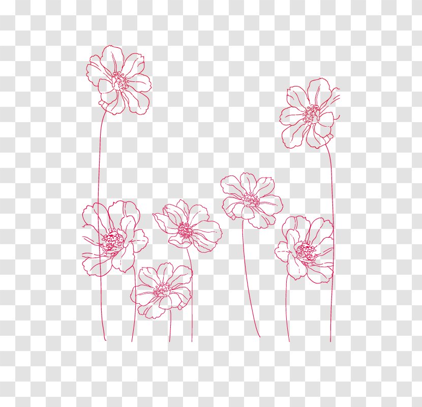 Drawing - Flowering Plant - Line Flowers Transparent PNG