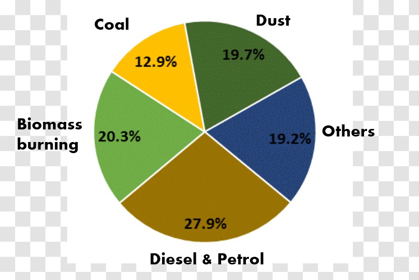 Air Quality In Delhi Pollution India Pie Chart - Text - Diagram Transparent PNG