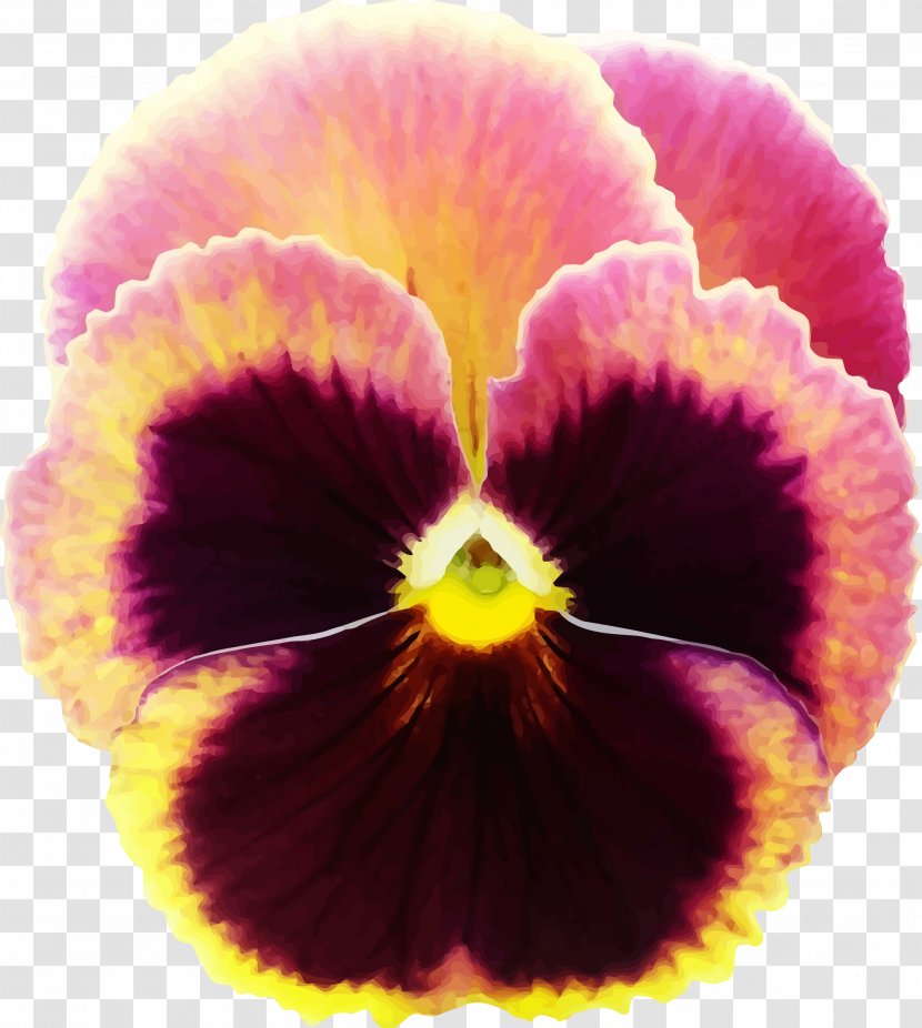 Pansy Clip Art Floral Design Openclipart Flower - Annual Plant Transparent PNG