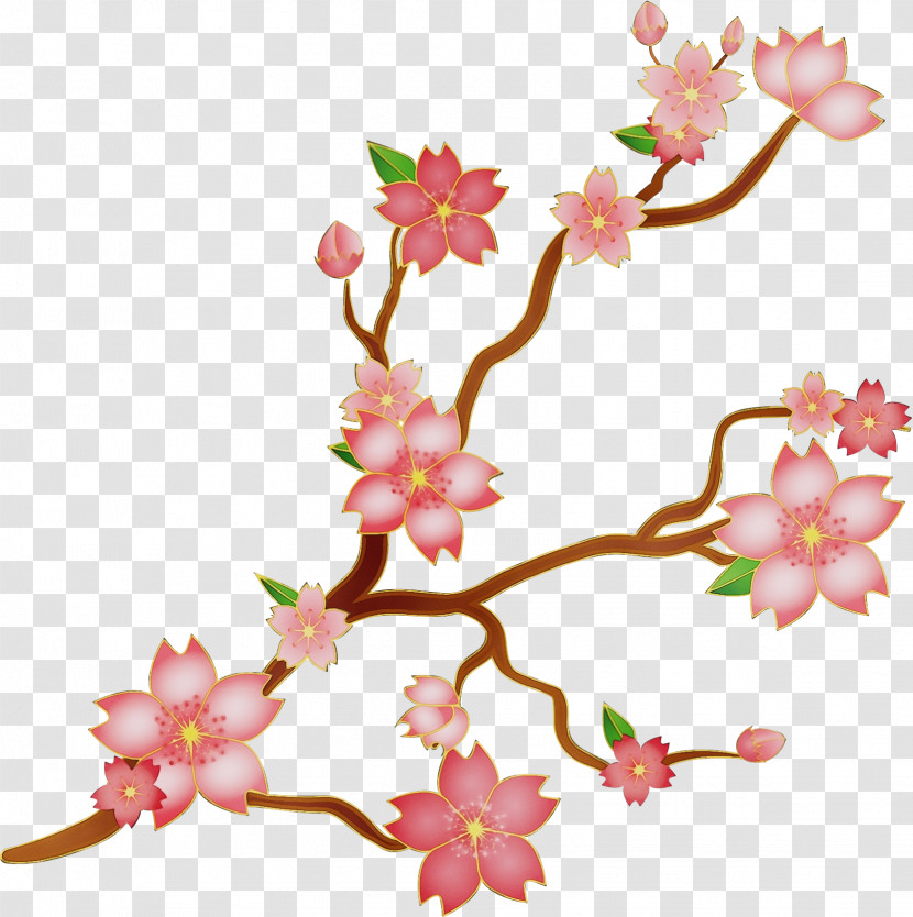 Cherry Blossom Transparent PNG