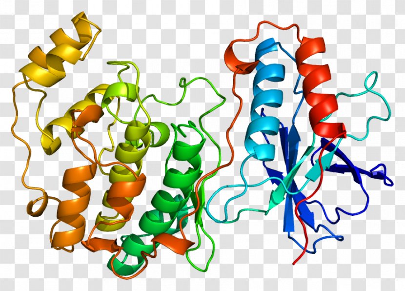 Biocybernetics Biology Biological System Biochemistry - Artificial Neural Network - Ampactivated Protein Kinase Transparent PNG