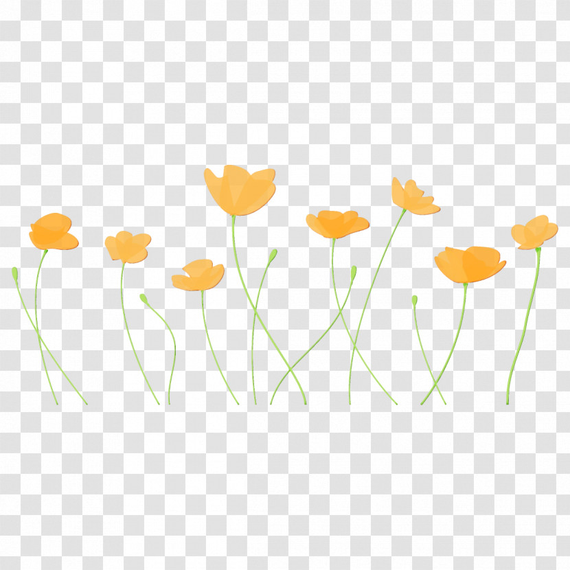 Flower Yellow Plant Chamomile Plant Stem Transparent PNG