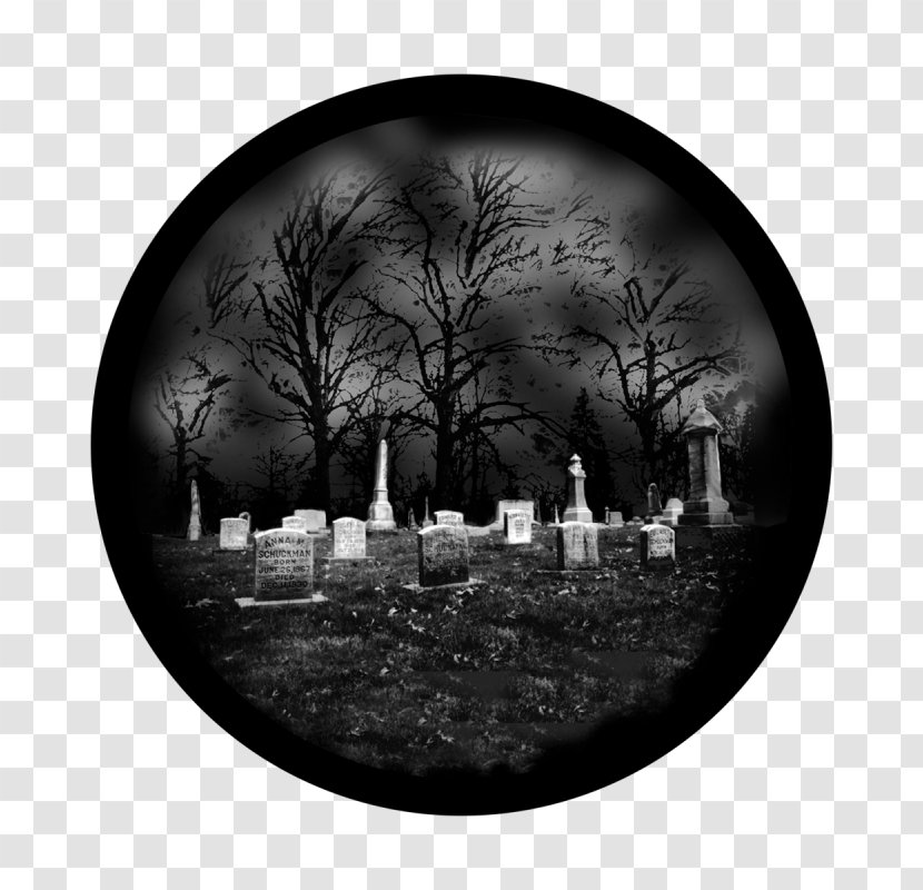Plate Dishware Black-and-white Branch Cemetery - Blackandwhite - Tableware Games Transparent PNG