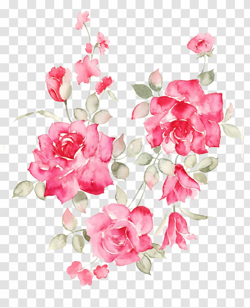 Flower Rose - Petal Transparent PNG