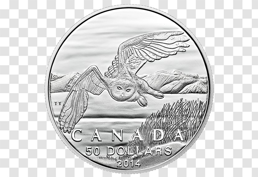 Canada Owl Silver Coin - 50 Fen Coins Transparent PNG