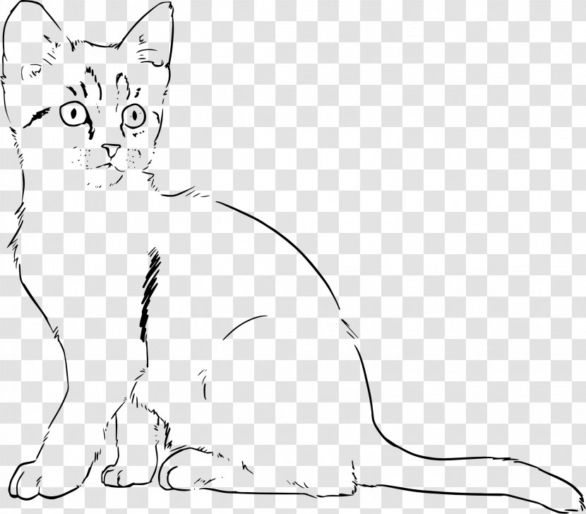Kitten Cat Line Art Drawing - Fauna Transparent PNG