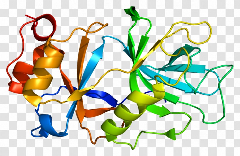 SPN1 Gene Protein SnRNP Wikipedia - Silhouette - Chromosome 5 Transparent PNG