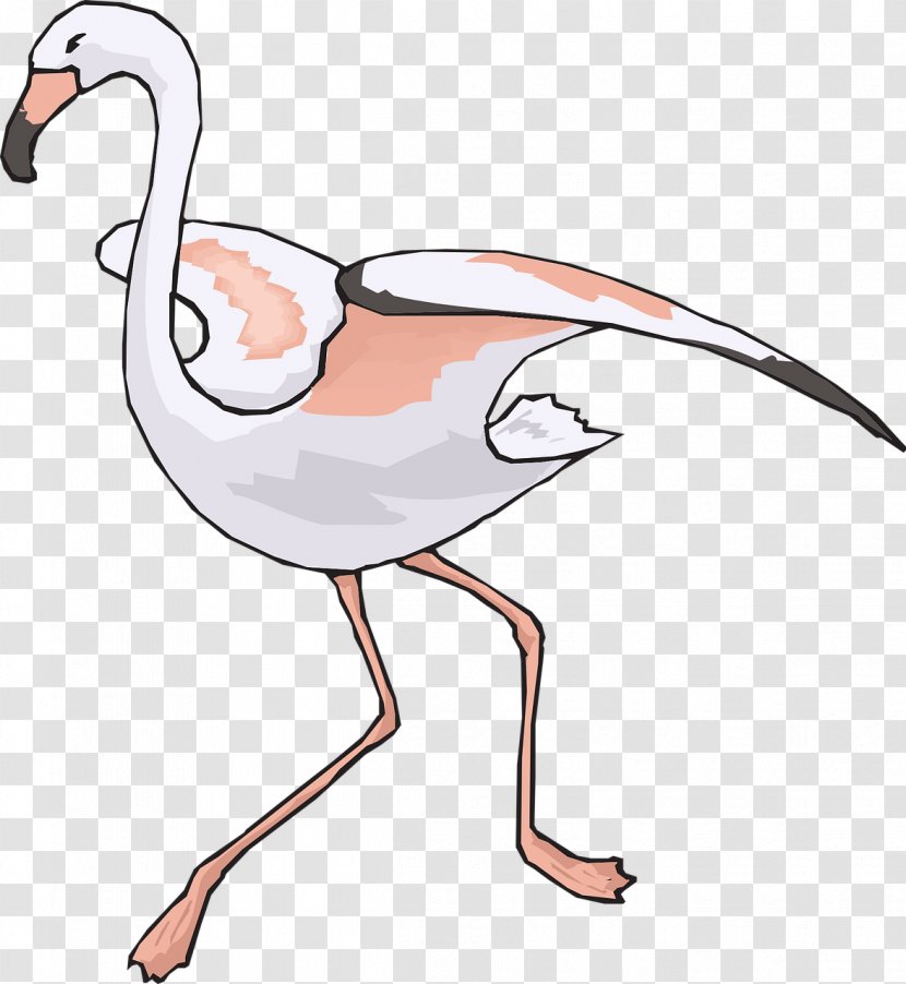 Bird Crane Flamingo Clip Art - Animal Figure Transparent PNG