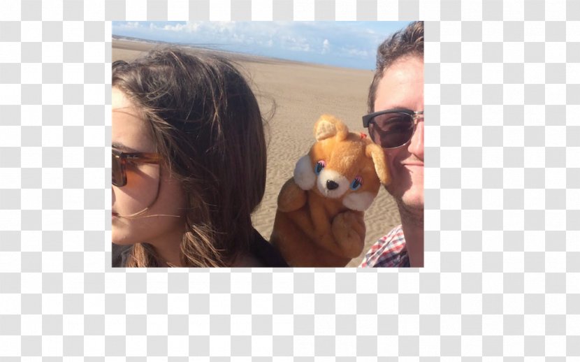 Dog Breed Snout Ear Fur - Beach Scene Transparent PNG