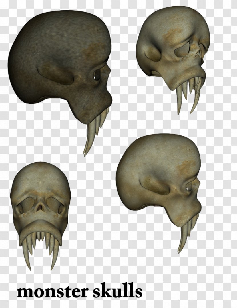 Snout Jaw Mouth Skeleton Skull Transparent PNG