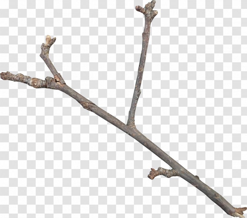 Twig Download Icon - Branch - Diagonal Y-shaped Twigs Transparent PNG