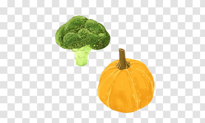 Pumpkin Vegetable Oil Broccoli Food - Diet - Material Picture Transparent PNG