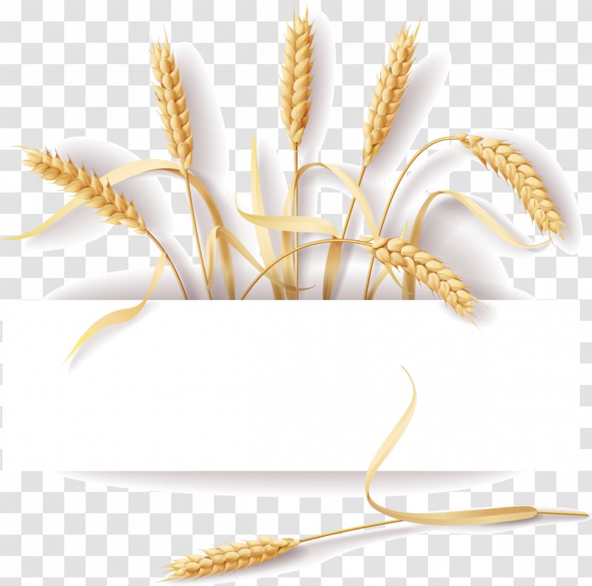 Common Wheat Cereal Ear Rye - Silhouette - Creative Food Notes Transparent PNG