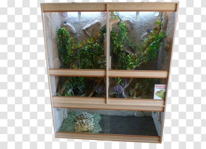 Vivarium Terrarium Reptile Cage Chinese Water Dragon - Flowerpot Transparent PNG