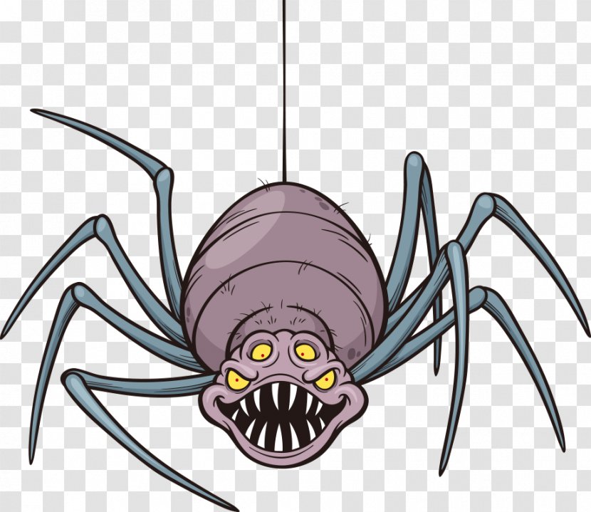 Spider Cartoon Royalty-free Illustration - Stock Photography - Vector Transparent PNG