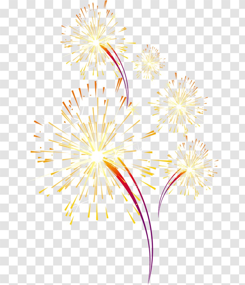 Text Petal Yellow Illustration - Fireworks Transparent PNG