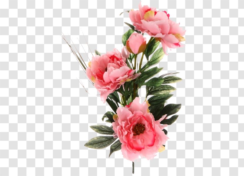 Garden Roses Flower Floral Design Blog Peony - Cut Flowers Transparent PNG