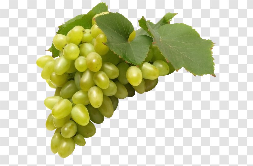 Common Grape Vine Juice Fruit Must Transparent PNG