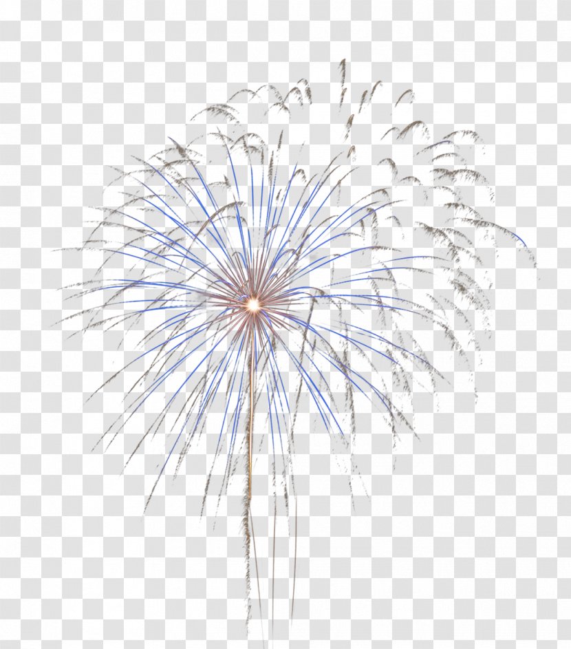 Consumer Fireworks - Firecracker Transparent PNG