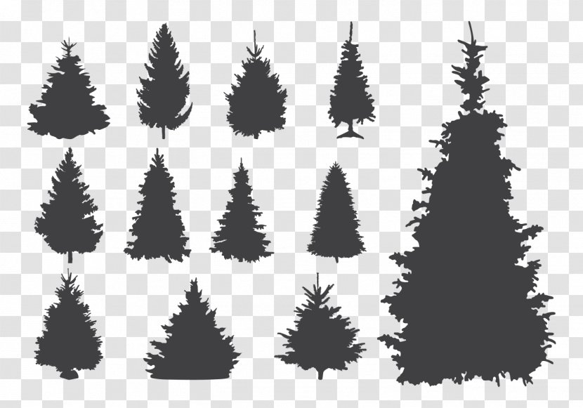 Spruce Pine Christmas Tree - Monochrome Transparent PNG