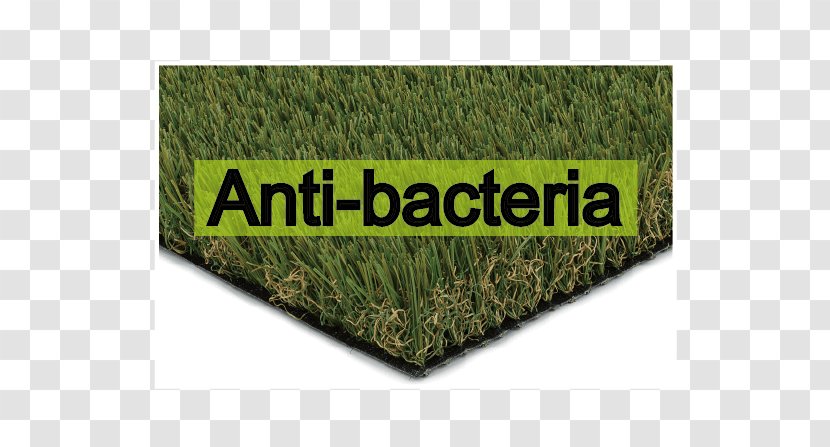 Artificial Turf Lawn Meadow Synthetic Fiber Adalékanyag - Rectangle - Anti Bacteria Transparent PNG