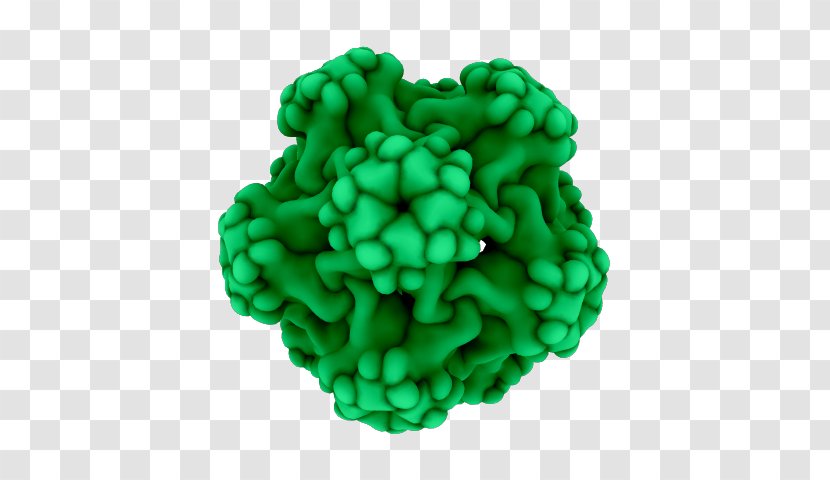 Turquoise Organism - Human Papilloma Virus Transparent PNG