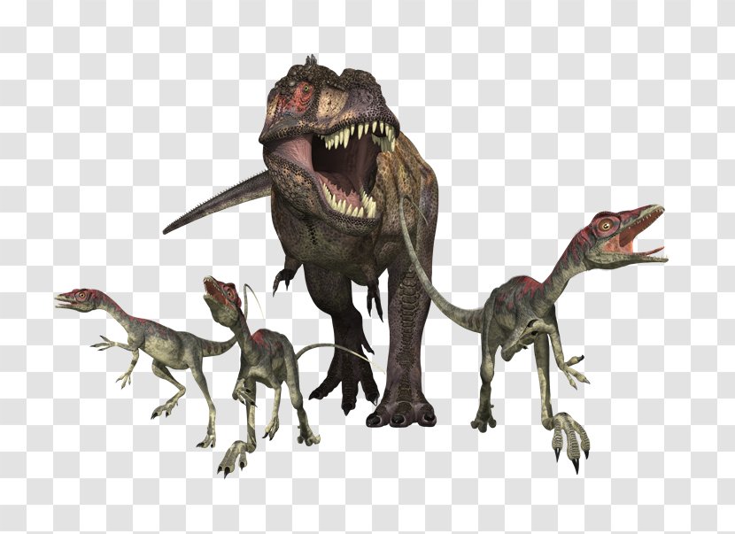 Tyrannosaurus Velociraptor Gallimimus Albertosaurus Dinosaur - Animal Figure - Dinosaurs Transparent PNG