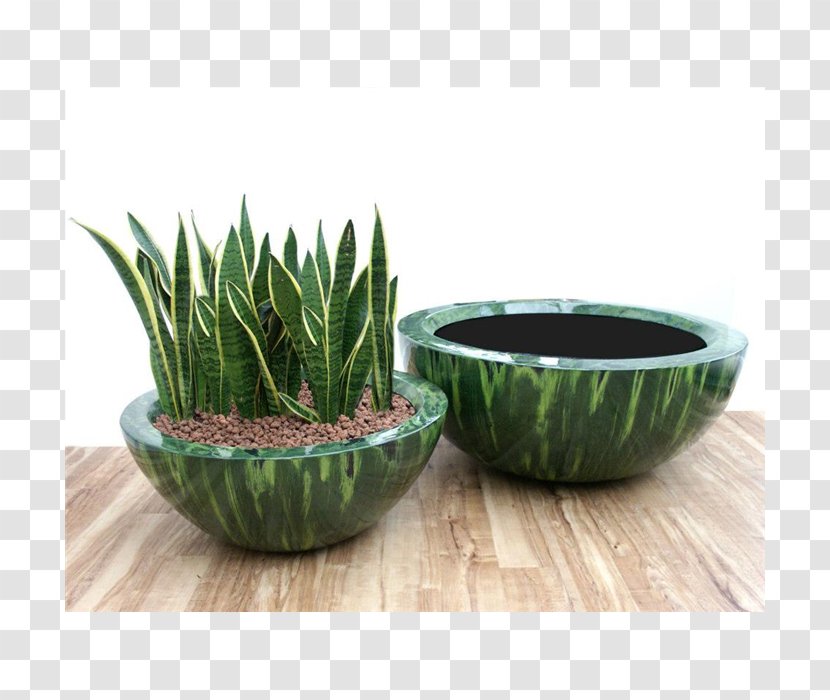 Bowl Flowerpot Ceramic Glass Metal - Wall Transparent PNG