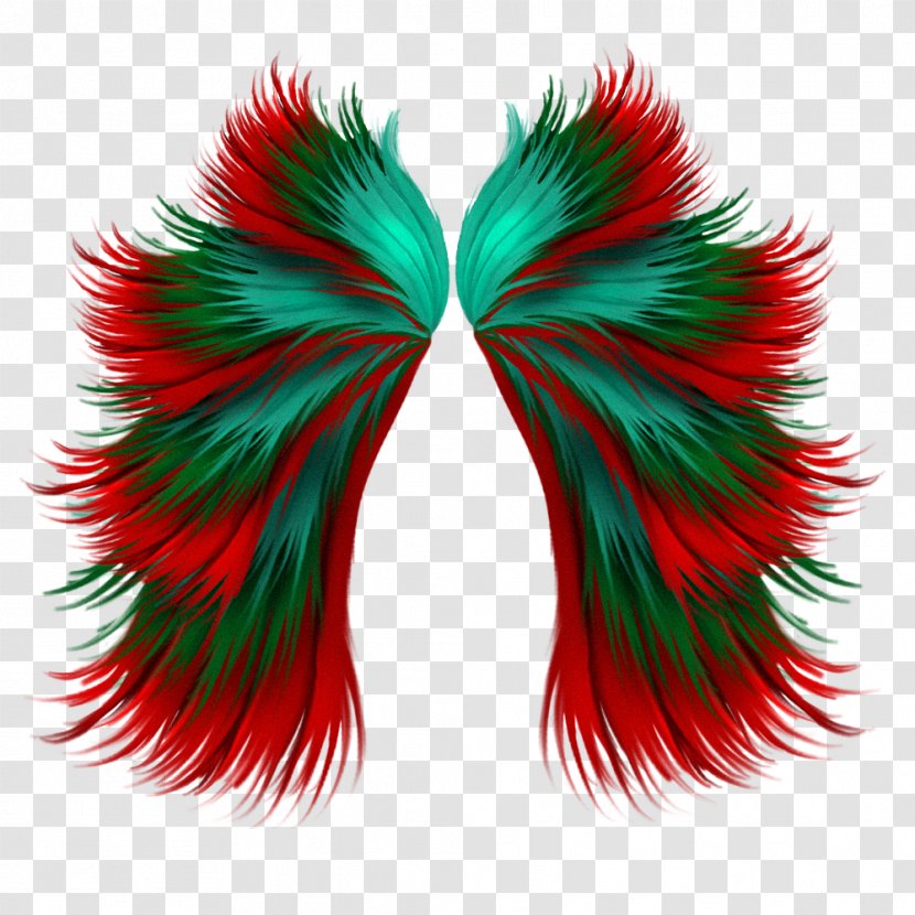 Animation Clip Art - Red Feather Creative Transparent PNG